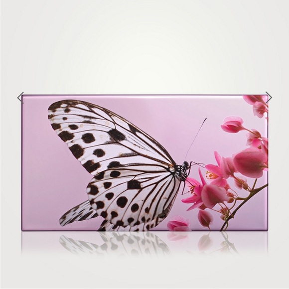 Chantecaille Eyeshadow Palette - Purple and Pink - Picture 4 of 5